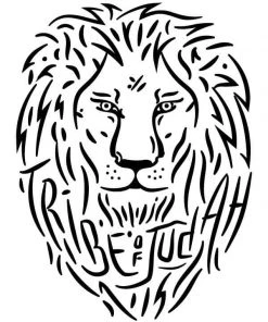 Hope Outfitters Lion Youth Tee KIDS